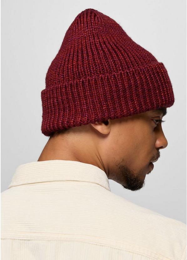 prAna Logo Beanie, Color: Retrograde, image 4