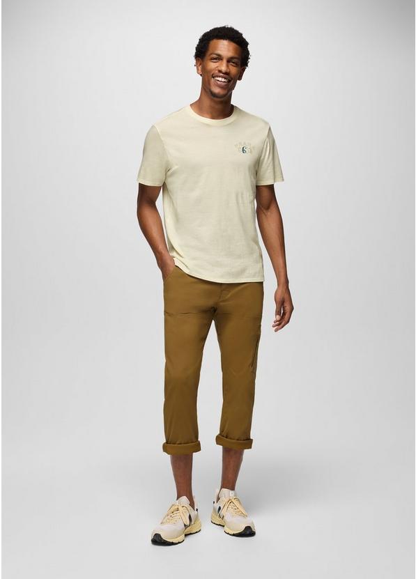 Stretch Zion Straight Pant, Color: Retro Olive, image 7