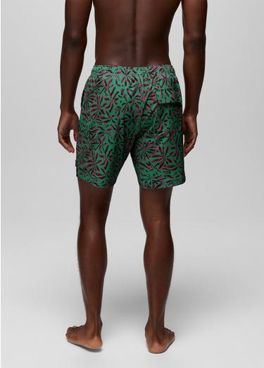La Jolla Lined Swim Short, Color: Jade Grounded, image 14