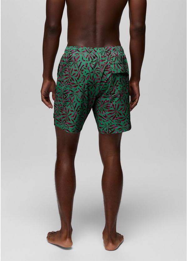 La Jolla Lined Swim Short, Color: Jade Grounded, image 5