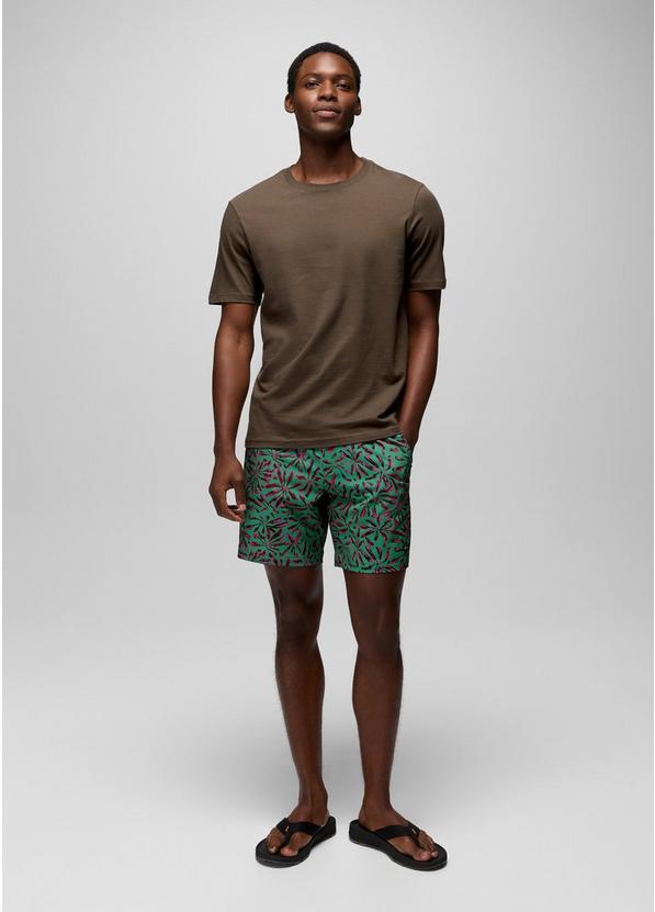 La Jolla Lined Swim Short, Color: Jade Grounded, image 7
