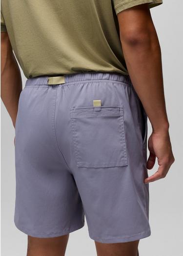 Stretch Zion Pull On Short, Color: Taro, image 20