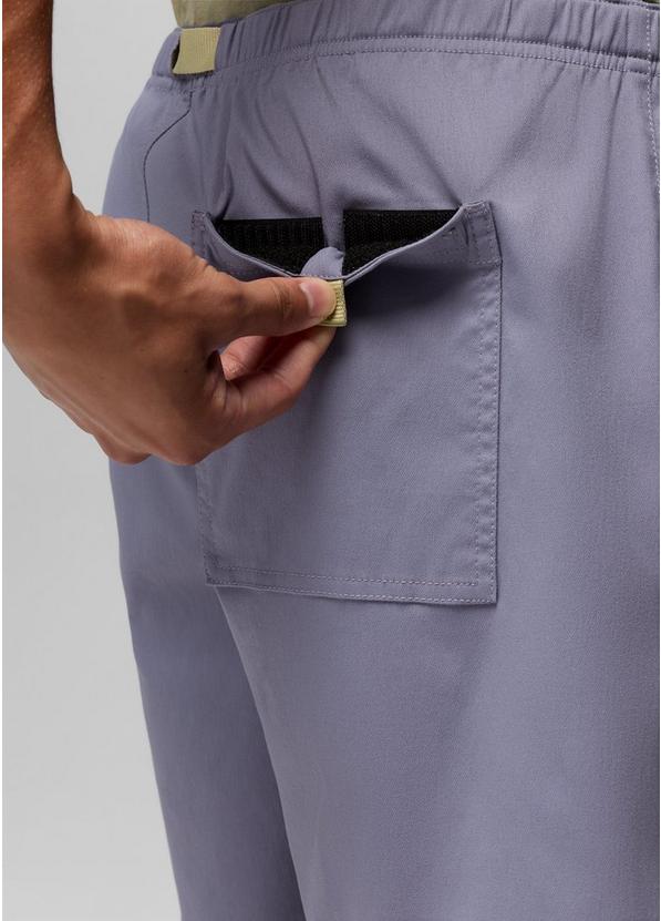 Stretch Zion Pull On Short, Color: Taro, image 5