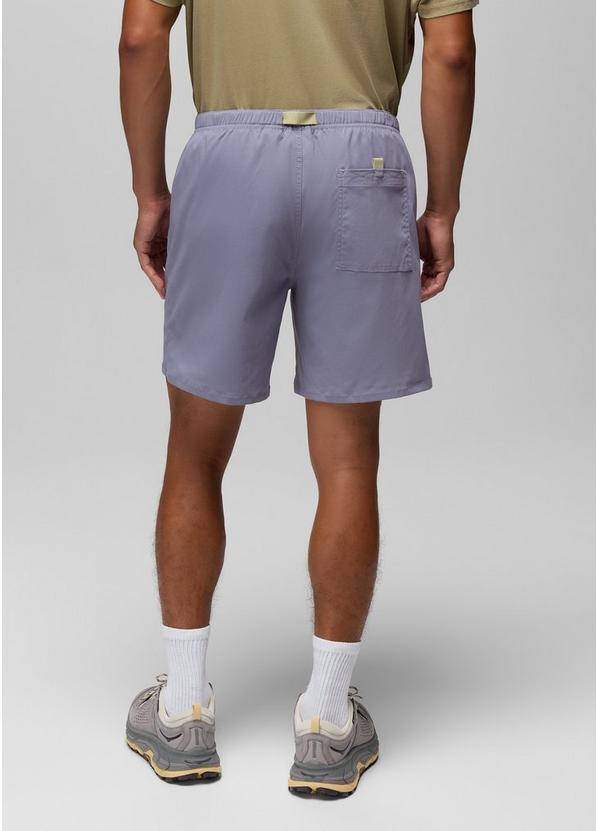 Stretch Zion Pull On Short, Color: Taro, image 2