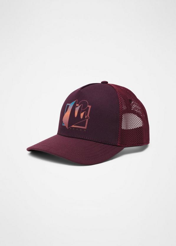 Roads Ahead Trucker, Color: Fig Signals, image 1