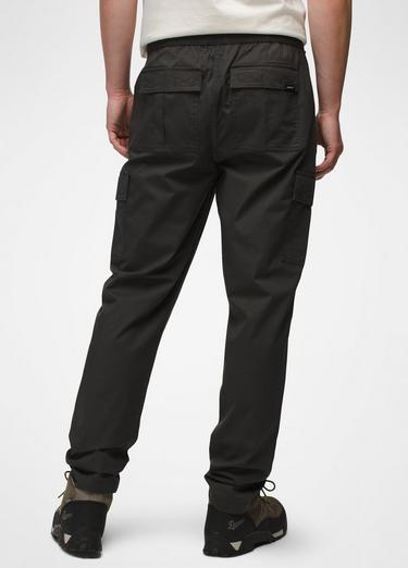 Palisades Ripstop Cargo Pant, Color: Dark Iron, image 2