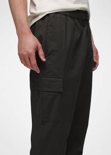 Palisades Ripstop Cargo Pant, Color: Dark Iron, image 3