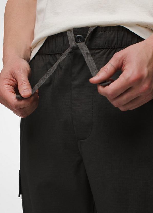Palisades Ripstop Cargo Pant, Color: Dark Iron, image 4