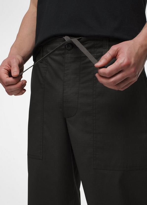 Palisades Ripstop Field Pant, Color: Dark Iron, image 4