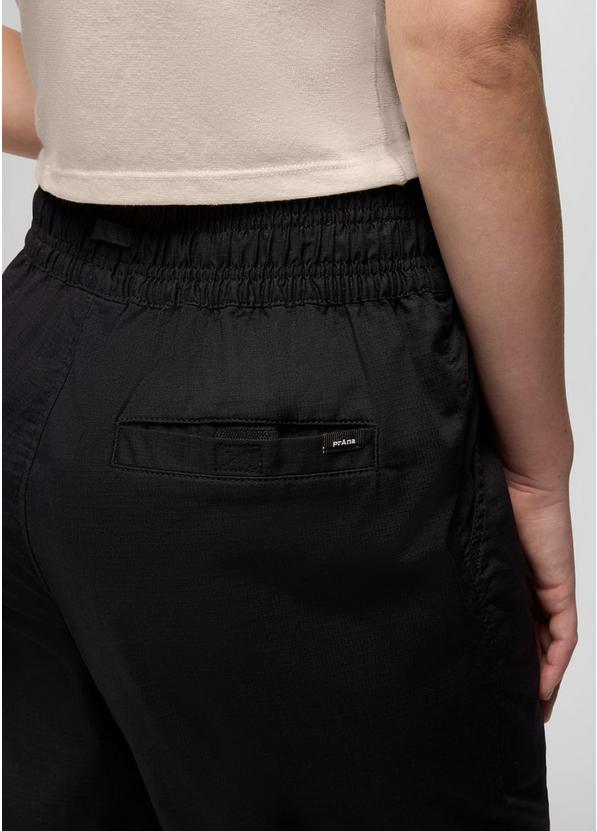 Palisades Ripstop E-Waist Pant, Color: Black, image 7