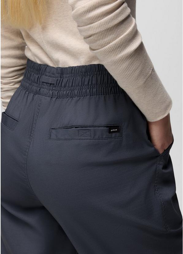 Palisades Ripstop E-Waist Pant, Color: Thundercloud, image 3