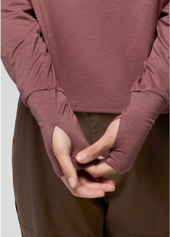 Sol Searcher Long Sleeve Crew, Color: Newberry, image 4