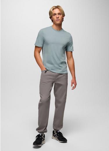 prAna Universal Truth Graphic Tee, Color: Quarry, image 8