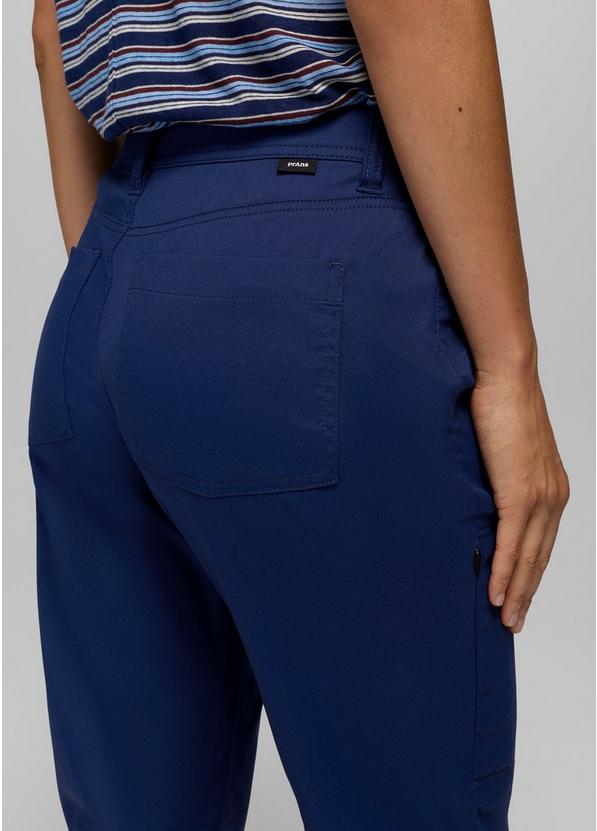 Stretch Zion Halle Pant, Color: Capulet Blue, image 5