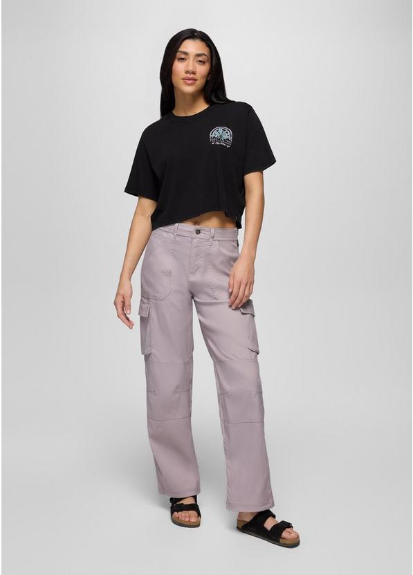 Stretch Zion Cargo Pant, Color: Haze, image 6