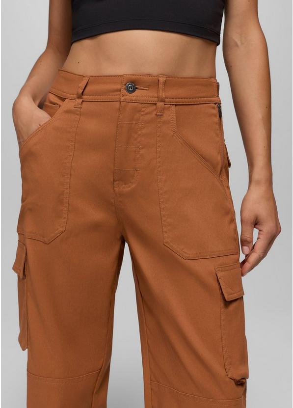 Stretch Zion Cargo Pant, Color: Tawny, image 5