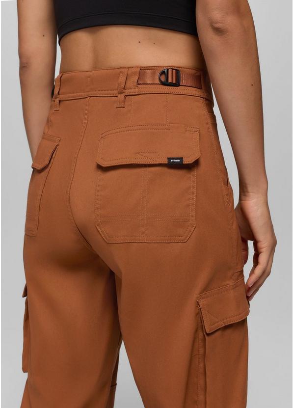 Stretch Zion Cargo Pant, Color: Tawny, image 4
