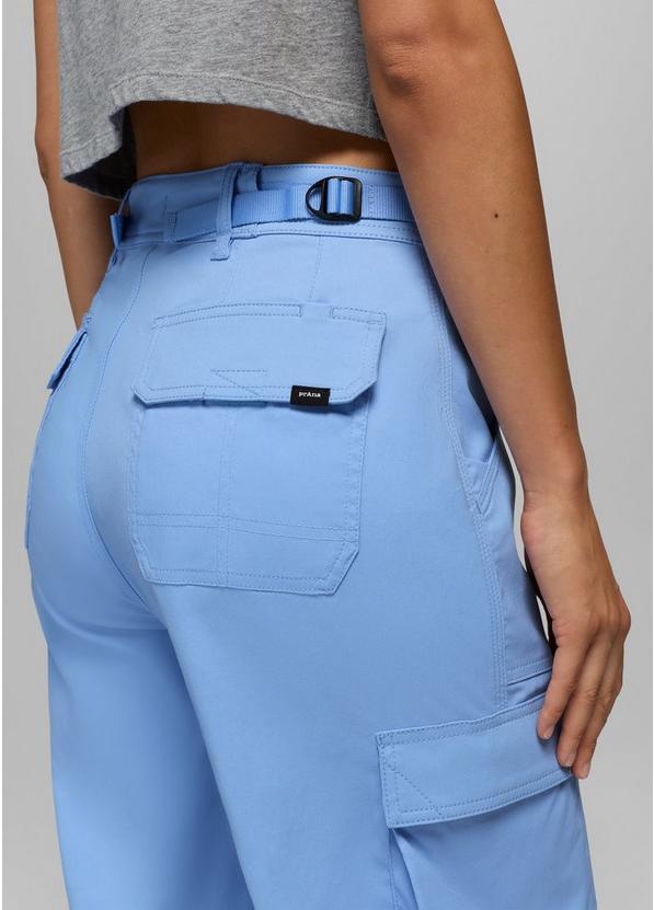 Stretch Zion Cargo Pant, Color: Blue Vibes, image 3