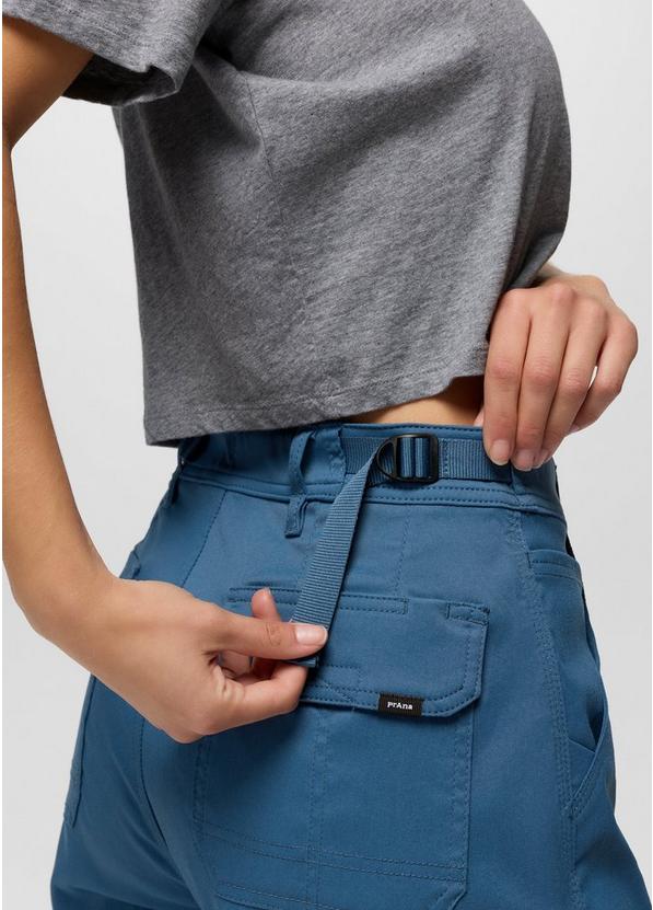 Stretch Zion Cargo Pant, Color: Bluff Blue, image 3