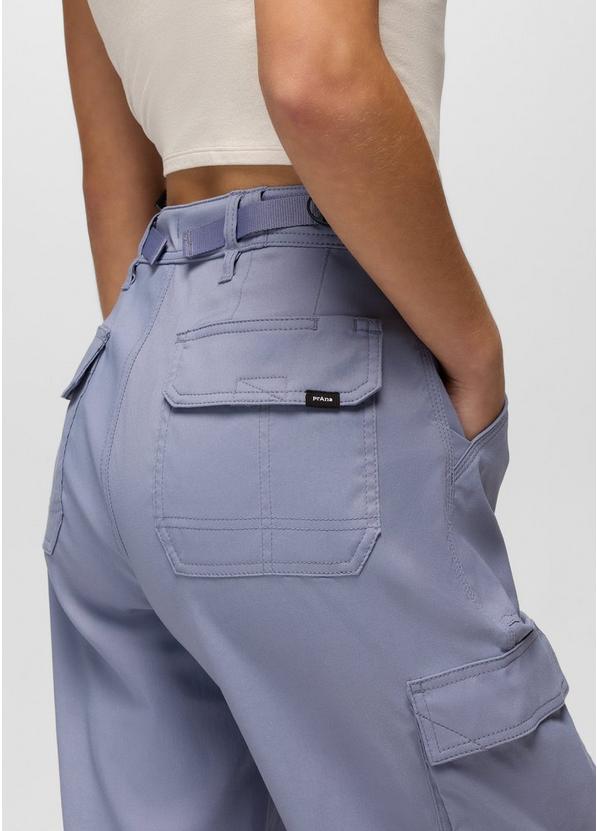 Stretch Zion Cargo Pant, Color: Taro, image 7