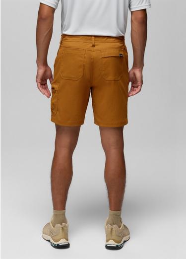 Stretch Zion Short, Color: Tumeric, image 30