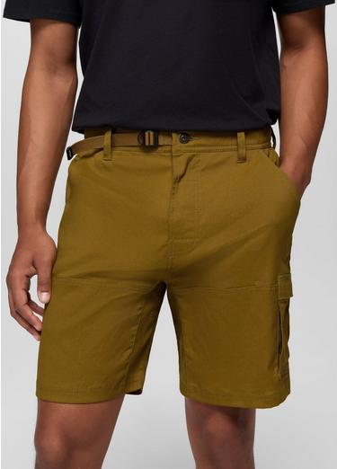 Stretch Zion Short, Color: Retro Olive, image 31
