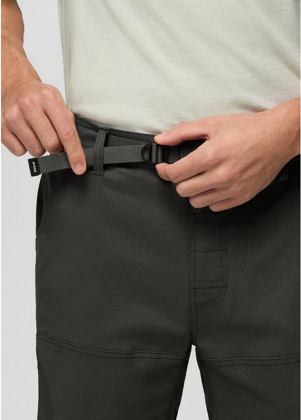 Stretch Zion Short, Color: Spruce, image 5