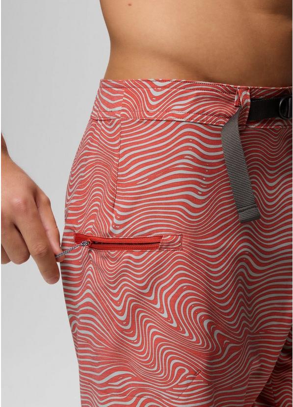 Rock Shock Boardshort, Color: Phoenix Wavee, image 5