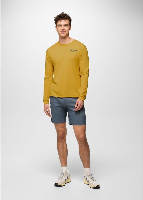 Everyday Graphic Long Sleeve Tee, Color: Pollen Past and Present, image 5