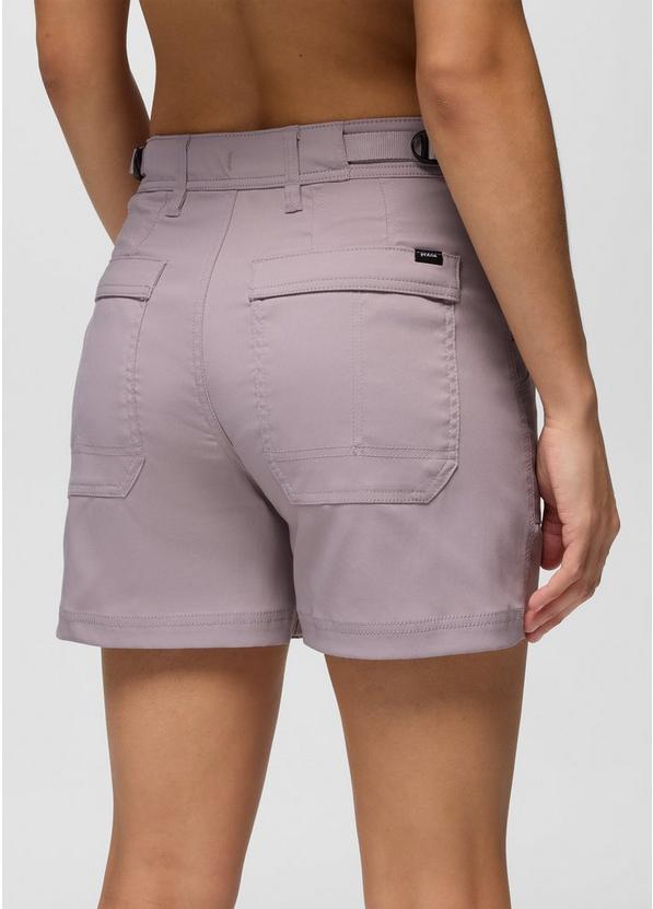 Stretch Zion Cargo Short, Color: Haze, image 8