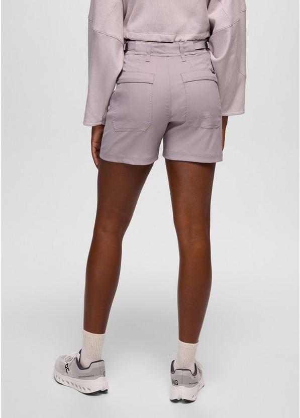 Stretch Zion Cargo Short, Color: Haze, image 2