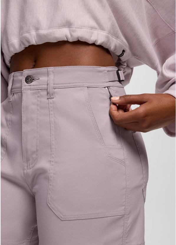 Stretch Zion Cargo Short, Color: Haze, image 3