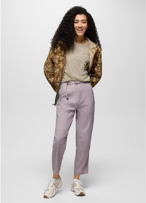 Stretch Zion Cinch Pant, Color: Haze, image 6