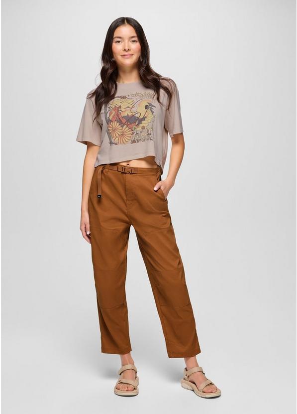 Stretch Zion Cinch Pant, Color: Tawny, image 5