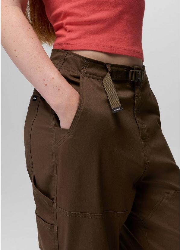 Stretch Zion Cinch Pant, Color: Dark Roast, image 4