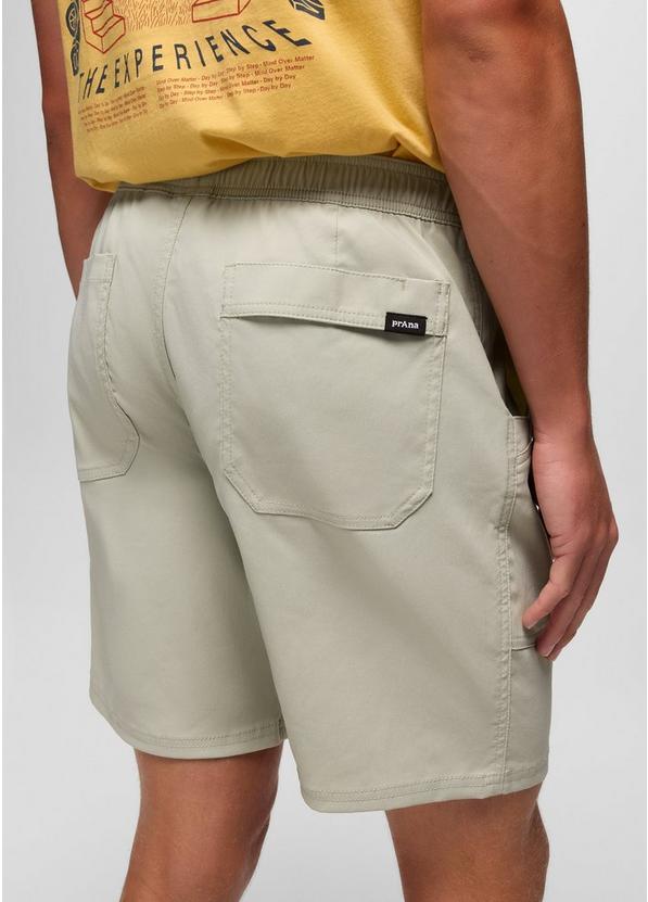 Stretch Zion Field Short, Color: Stoned, image 8