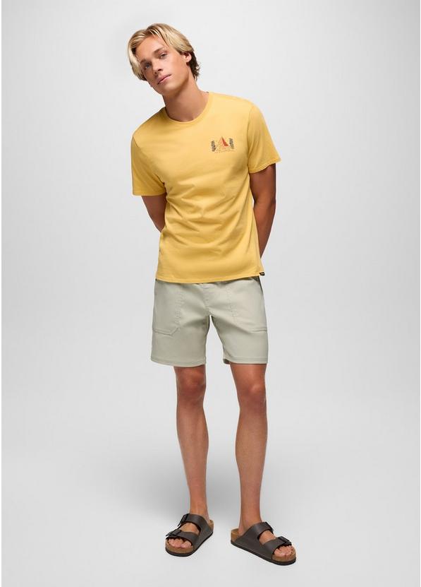 Stretch Zion Field Short, Color: Stoned, image 7