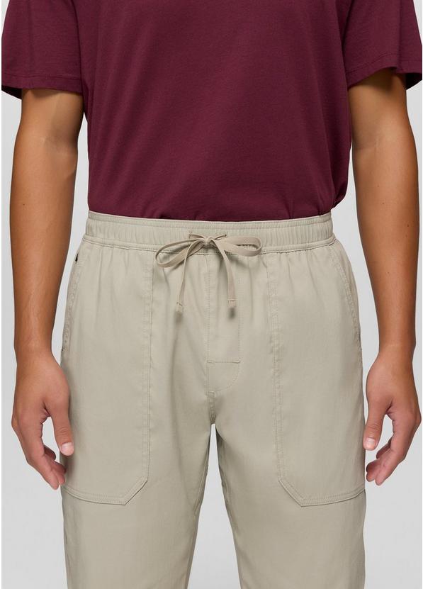 Stretch Zion Field Pant, Color: Stoned, image 4