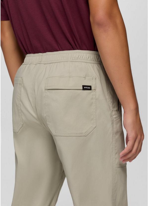Stretch Zion Field Pant, Color: Stoned, image 5