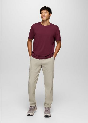 Stretch Zion Field Pant, Color: Stoned, image 3