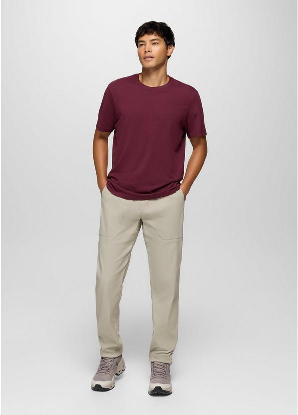 Stretch Zion Field Pant, Color: Stoned, image 7