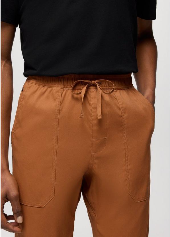 Stretch Zion Field Pant, Color: Tawny, image 3