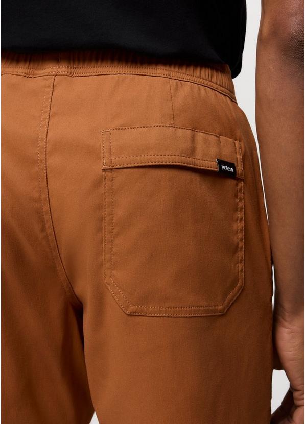 Stretch Zion Field Pant, Color: Tawny, image 4