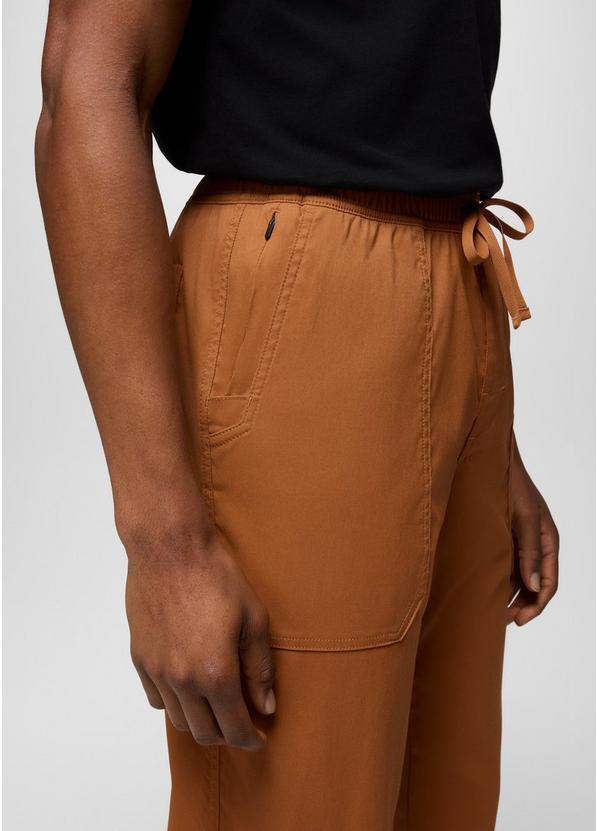 Stretch Zion Field Pant, Color: Tawny, image 5