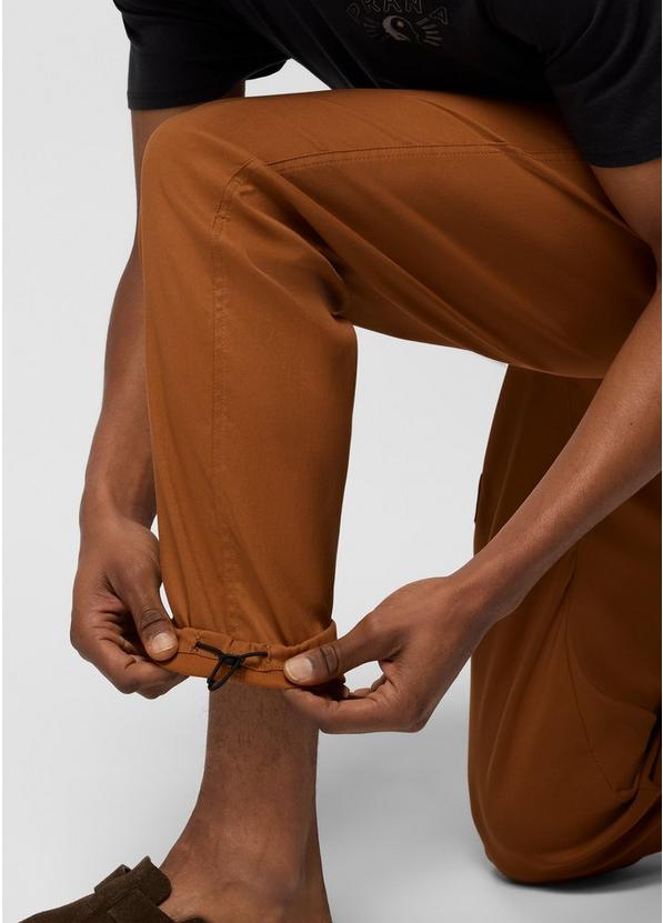 Stretch Zion Field Pant, Color: Tawny, image 6