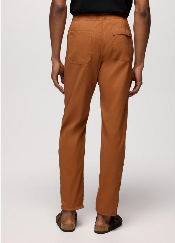 Stretch Zion Field Pant, Color: Tawny, image 2