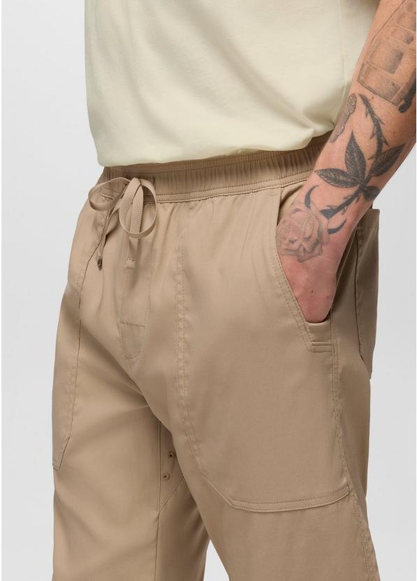 Stretch Zion Field Pant, Color: Sandbar, image 4