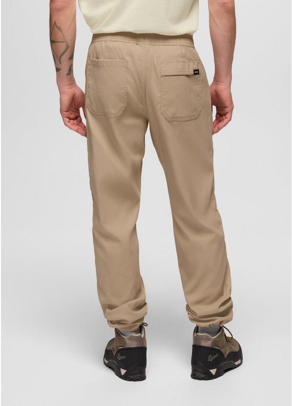 Stretch Zion Field Pant, Color: Sandbar, image 2