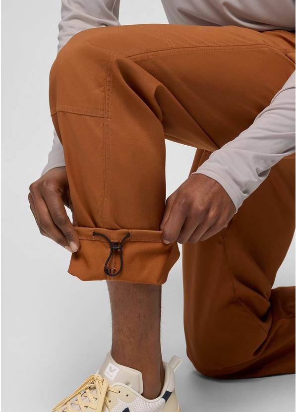 Stretch Zion Carpenter Pant, Color: Tawny, image 4