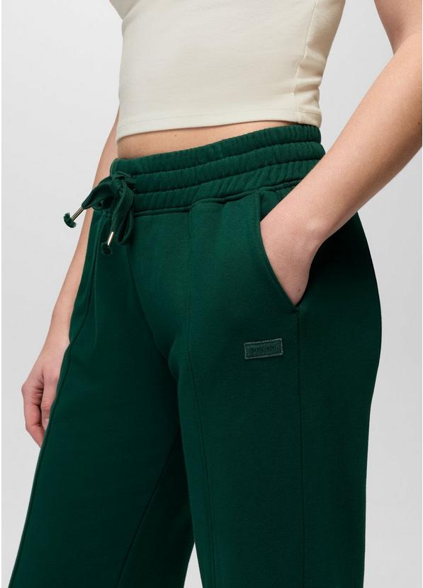 DreamFleece Sweatpant, Color: Root Green, image 5